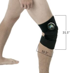 Knee